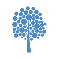 DAVYDOV CONSULTING logo