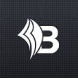 Bizapedia, LLC logo