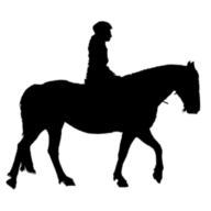 Riverview Resort logo