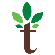 Teangi logo