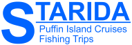 Starida Sea Servises logo