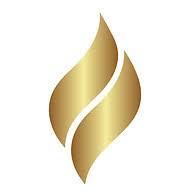 DS Gas & Building Services Ltd logo