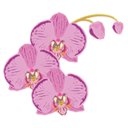 Jeanetteflorists logo