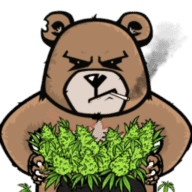 BulkCannabis logo