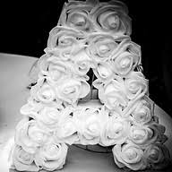 Aruni Y Photography logo