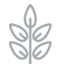 Clockhousenursery logo