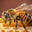 BeeVital Propolis logo