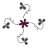 Rays Florist logo