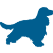 James & Ella logo