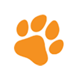 4PAWSRAW logo