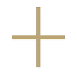 Brown and Ginger logo