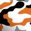 Southforkracing logo