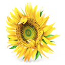 Bouquet logo