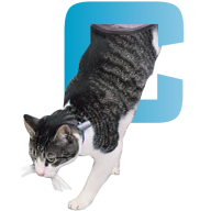 Catflapman logo