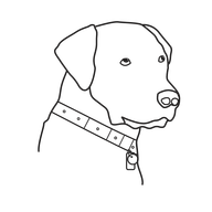 CANINE ESSENTIALS LLC logo