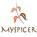 MySpicer.com logo