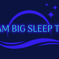 Dreambigsleeptight logo