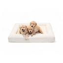 Bluewater Dog logo