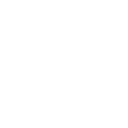Evolve Digital logo