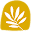 Castorvida logo