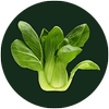 stemandglory.uk logo