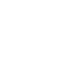 amigotours.com logo