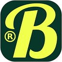 Brodtica-LLC logo