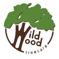 Wildwood Treecare logo