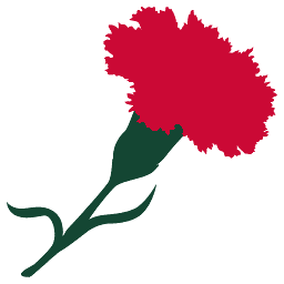 Ashford Castle Hotel logo