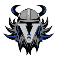 The Viking Group logo