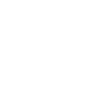 Autism North East logo