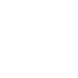 WEBSIDEVIEW LIMITED logo