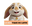 Laboutiquedulapin logo