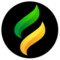 Synetalsolutions Training logo