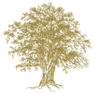 Theoakinnstaplow logo