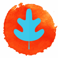 Robert Welti - Dein Gesundheitsbusiness logo