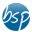 The Basement Sump and Pump Co logo