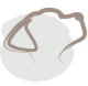 Jasmin Tivadar Training logo
