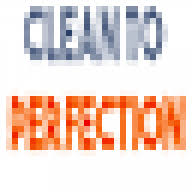 Clean To Perfection logo