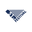 51stfestival.com logo
