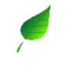 GBL Landscapes logo