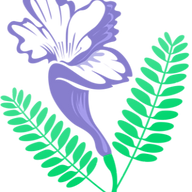 Bloom Lilly Healthcare logo