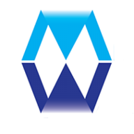 Mega Watt Power logo