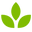 naturallynorth.ca logo