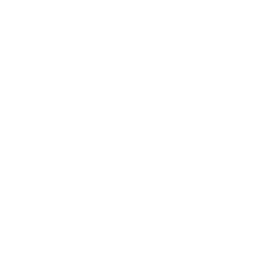 Access Intell logo
