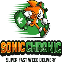 Sonic Chronic logo