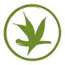 Verdant Tea logo