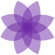 Amethyst Education logo