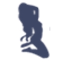 msparul05 logo