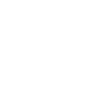 Elite Sports Travel logo